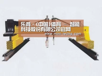 产品名称十八