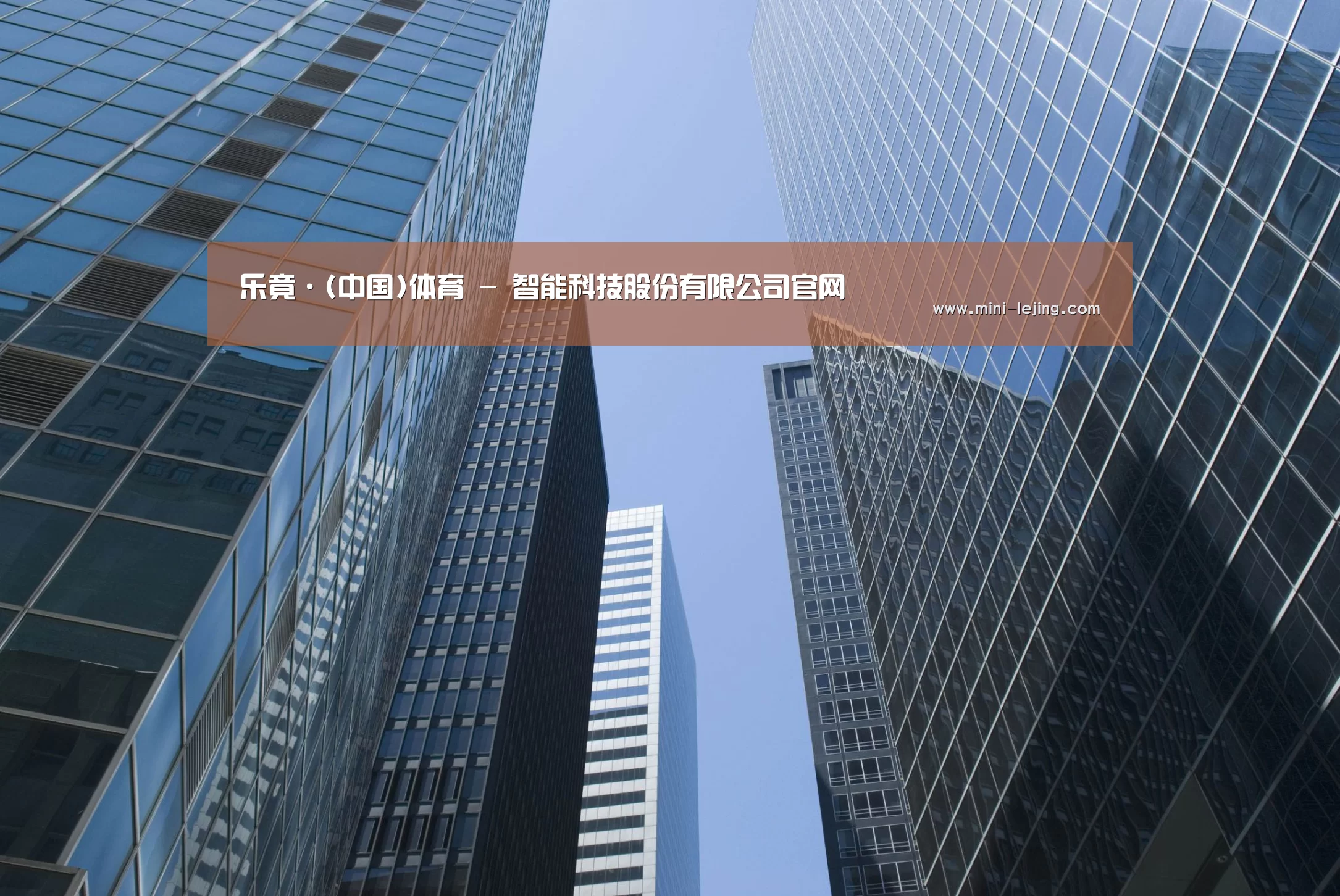 乐竟体育官网公司简介 