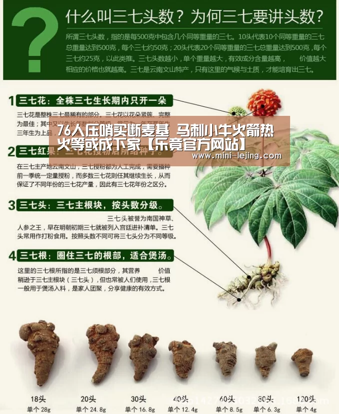 乐竟体育官网
