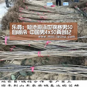 乐竟:短池游泳世锦赛男50自爆冷 中国男4x50两创纪录(图1) 乐竟体育