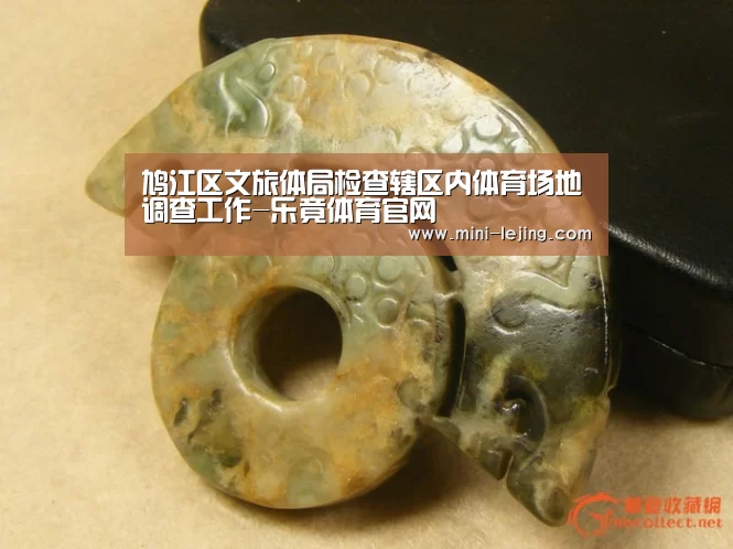 鸠江区文旅体局检查辖区内体育场地调查工作-乐竟体育官网(图3) 乐竟体育
