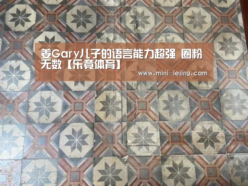 姜Gary儿子的语言能力超强 圈粉无数【乐竟体育】(图3) 乐竟