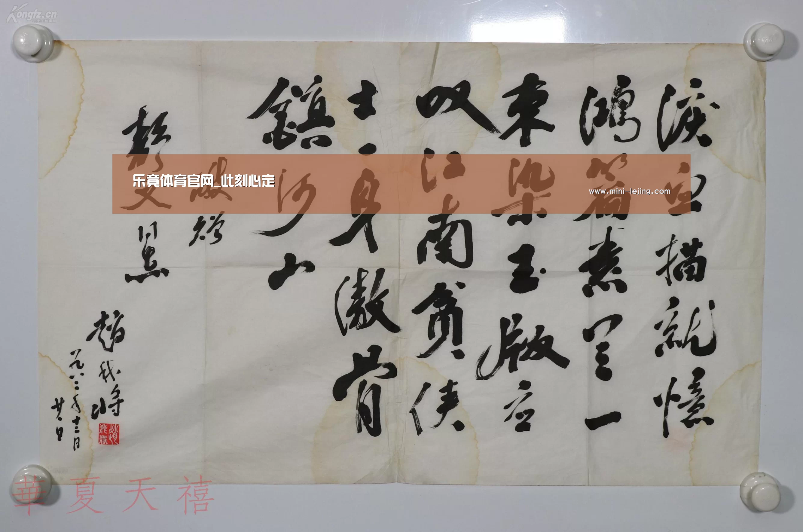 乐竟体育