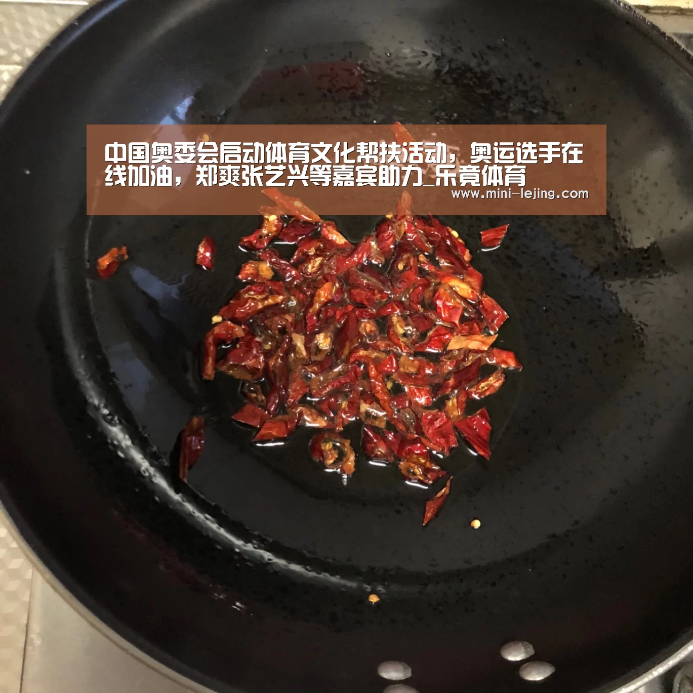 乐竟官方网站