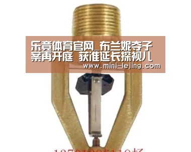 乐竟体育官网_布兰妮夺子案再开庭 获准延长探视儿子时间(图2) 乐竟体育